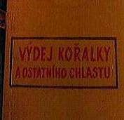 Uživatelský avatar