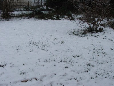 DSCF4139.JPG