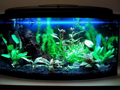 akvarium 4.0.jpg