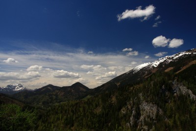 IMG_8717.JPG