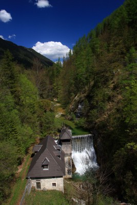 IMG_8729.JPG