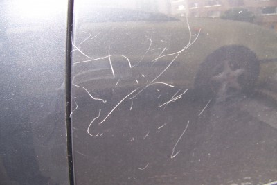 100_0768.JPG