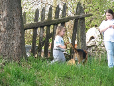 Díky psíkům měli nejen naše děti super zábavu,díky Wolfovi2 a Clairvoyantovi.