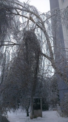 2012-12-24 10.31.52.jpg