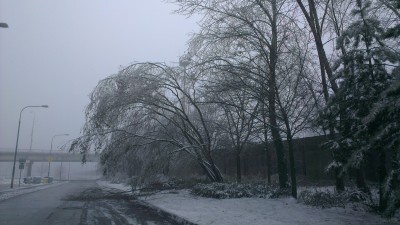 2012-12-24 11.10.39.jpg