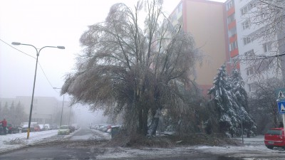 2012-12-24 11.11.39.jpg