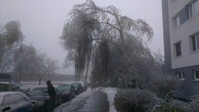 2012-12-24 11.17.21.jpg