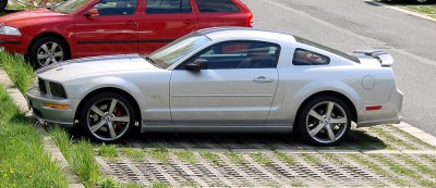 Mustang.jpg