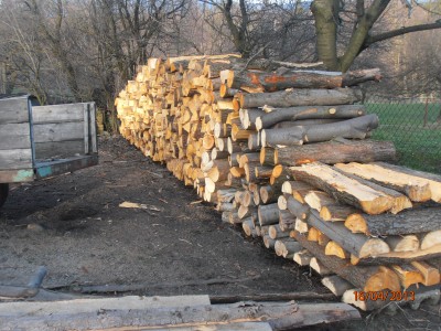 típačka 003.JPG