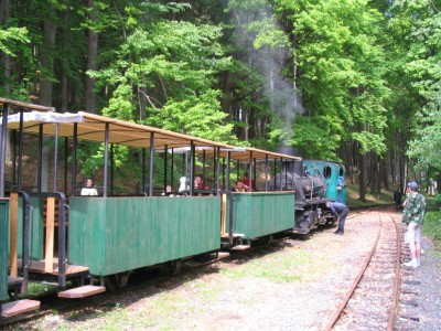 Pojedeme zpátky ...