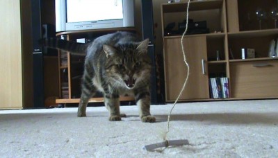 max_3.jpg (54.88 KiB) Zobrazeno 4191 x rozzuřenej...