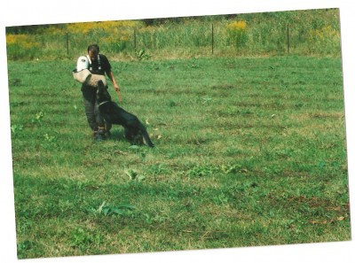 Obrázok 001.jpg
