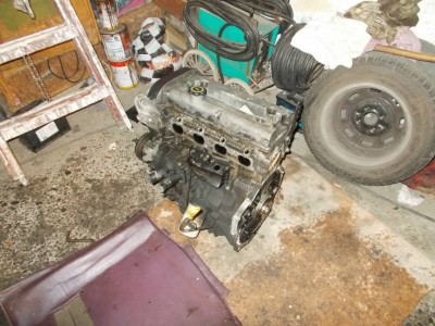 olejožíznivec po výměně