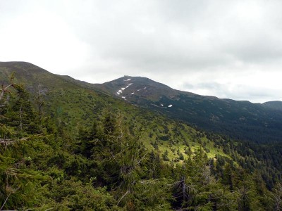 P1090054.JPG