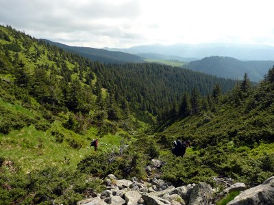 P1090056.JPG
