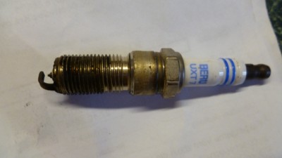 P1010221.JPG