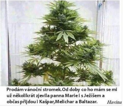 stromecek.jpg