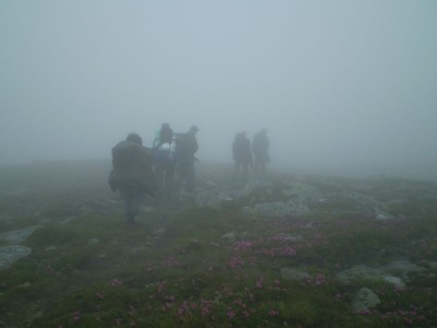 P4200256.JPG
