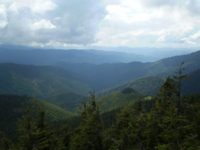P4190144.JPG