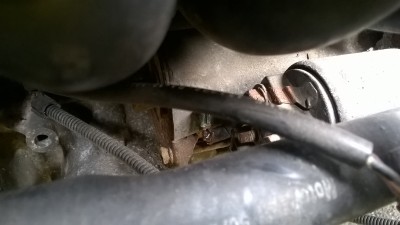 WP_20160621_16_50_08_Pro.jpg