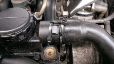 WP_20160916_004.jpg