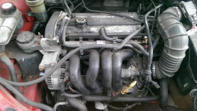 15825877_1406924119320275_736608651977049083_n.jpg