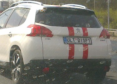 rz_ultdisp1.jpg