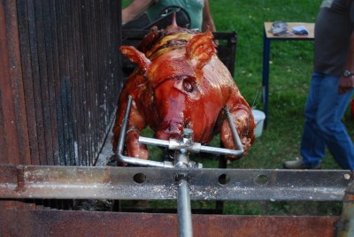 DSC_0937.JPG