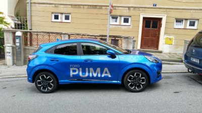 Puma01.jpg