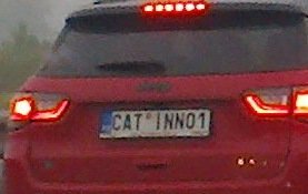rz_catinn01.jpg