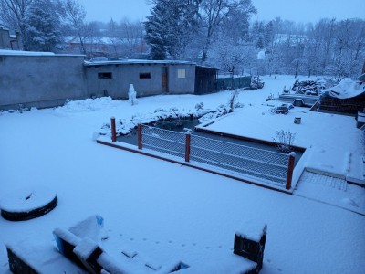 20211209_075535.jpg
