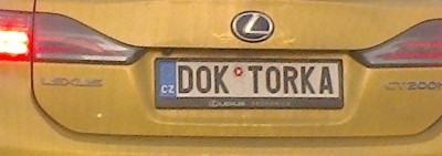 rz_d0kt0rka.jpg