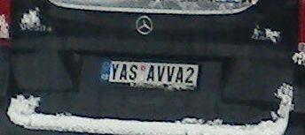 rz_yasavva2.jpg