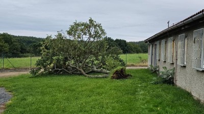 Strom.jpg