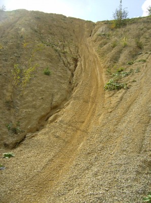 HPIM0935.jpg