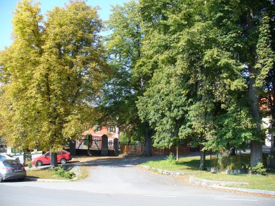P1040985-web.jpg