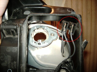RIMG0173.JPG