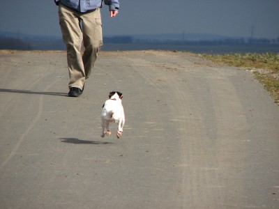 jacky ve vzduchu při běhu