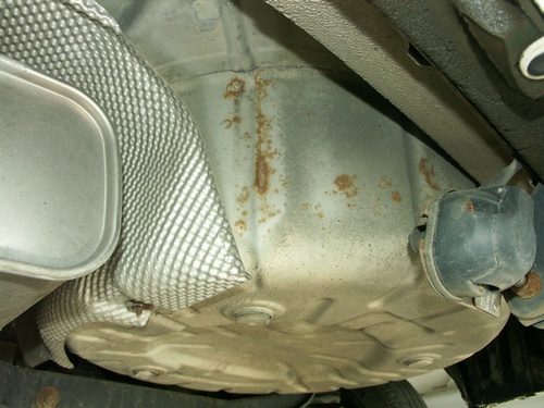 PICT0315u.jpg