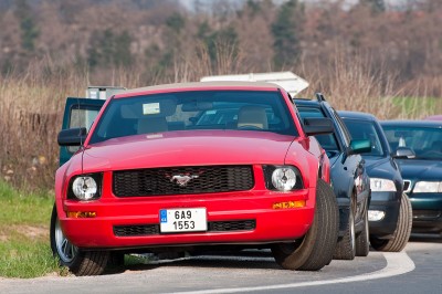 Mustang_04.04.2009.jpg