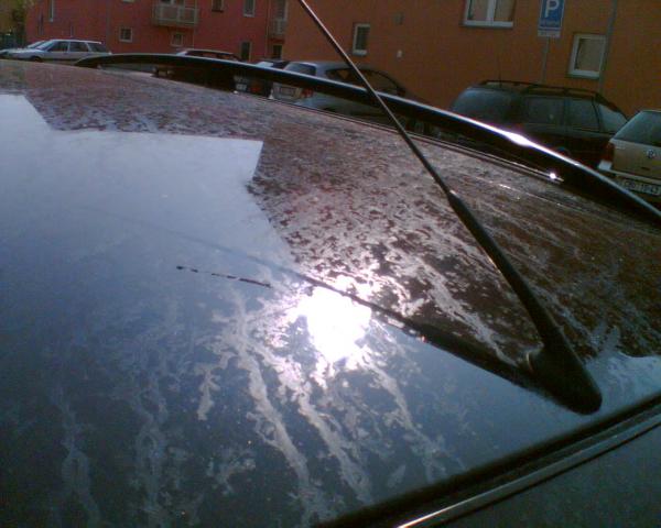 Obraz009.jpg