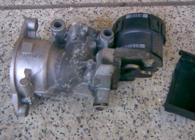 Foto  001.jpg