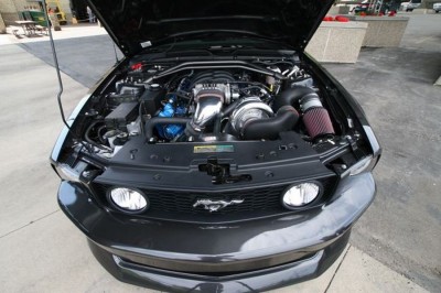 m2.JPG