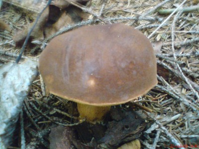 DSC00210.JPG