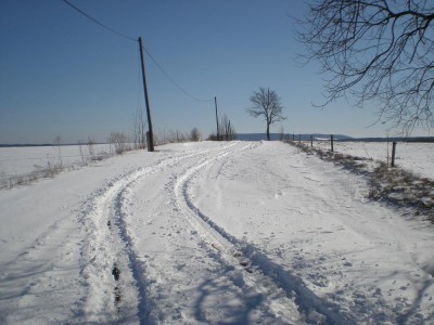 P3070437.JPG