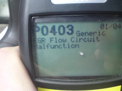 DSC01EGR.JPG
