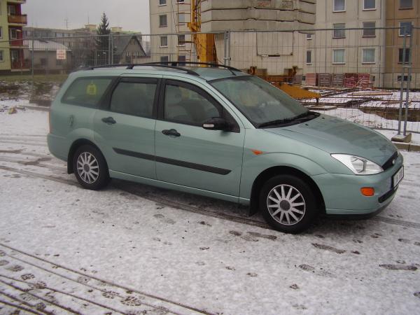 FoFo 005.jpg
