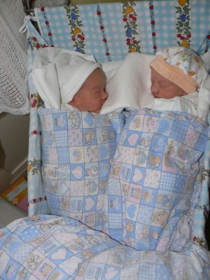 Daniel a David