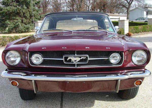 mustang.JPG