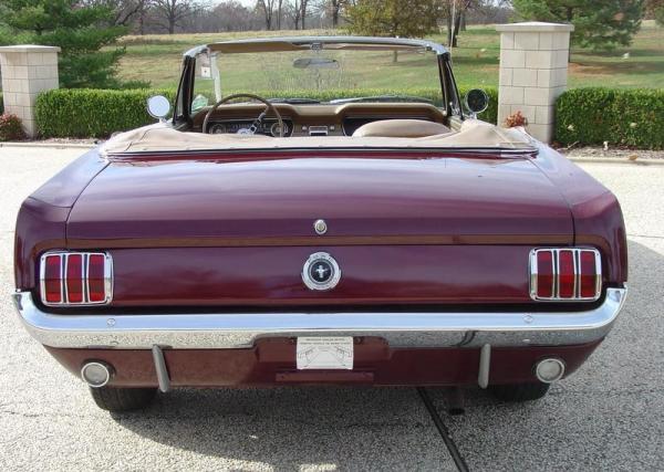 mustang3.JPG